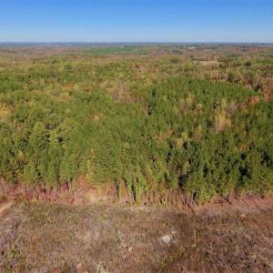 Photo of SOLD!!  81.9 Acres of Hunting and Timber Land for Sale in Caswell County NC!