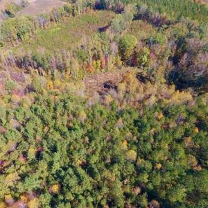Photo of SOLD!!  81.9 Acres of Hunting and Timber Land for Sale in Caswell County NC!