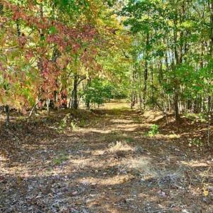 Photo of SOLD!!  81.9 Acres of Hunting and Timber Land for Sale in Caswell County NC!