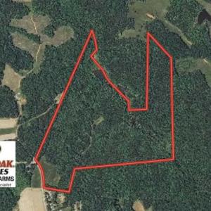 Photo of SOLD!!  81.9 Acres of Hunting and Timber Land for Sale in Caswell County NC!