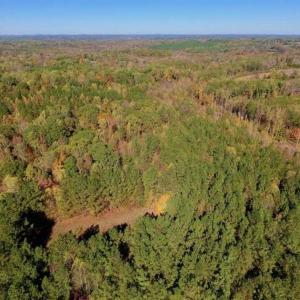 Photo of SOLD!!  81.9 Acres of Hunting and Timber Land for Sale in Caswell County NC!