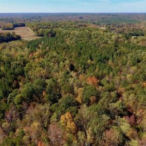 Photo of SOLD!!  81.9 Acres of Hunting and Timber Land for Sale in Caswell County NC!