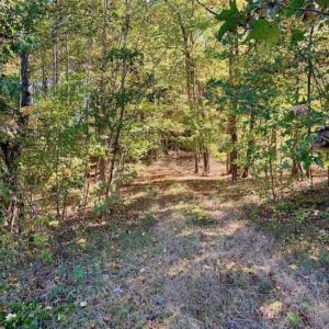 Photo of SOLD!!  81.9 Acres of Hunting and Timber Land for Sale in Caswell County NC!