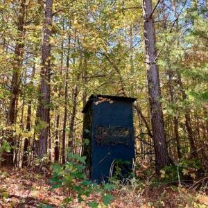 Photo of SOLD!!  81.9 Acres of Hunting and Timber Land for Sale in Caswell County NC!