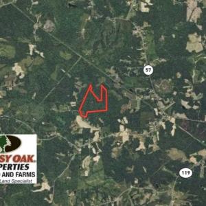Photo of SOLD!!  81.9 Acres of Hunting and Timber Land for Sale in Caswell County NC!