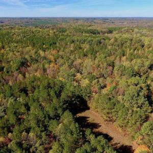Photo of SOLD!!  81.9 Acres of Hunting and Timber Land for Sale in Caswell County NC!
