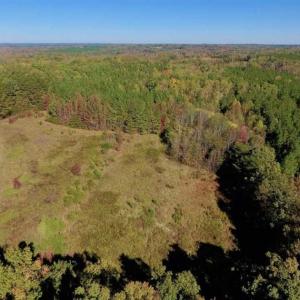 Photo of SOLD!!  81.9 Acres of Hunting and Timber Land for Sale in Caswell County NC!