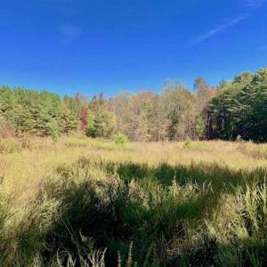 Photo of SOLD!!  81.9 Acres of Hunting and Timber Land for Sale in Caswell County NC!