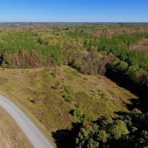 Photo of SOLD!!  81.9 Acres of Hunting and Timber Land for Sale in Caswell County NC!