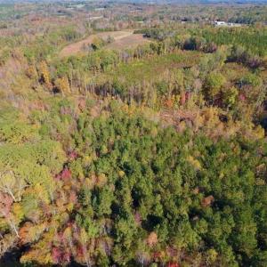 Photo of SOLD!!  81.9 Acres of Hunting and Timber Land for Sale in Caswell County NC!