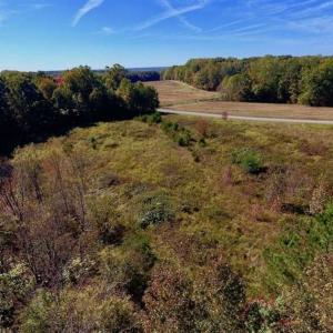 Photo of SOLD!!  81.9 Acres of Hunting and Timber Land for Sale in Caswell County NC!