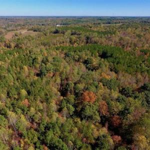 Photo of SOLD!!  81.9 Acres of Hunting and Timber Land for Sale in Caswell County NC!