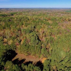 Photo of SOLD!!  81.9 Acres of Hunting and Timber Land for Sale in Caswell County NC!