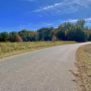 Photo of SOLD!!  81.9 Acres of Hunting and Timber Land for Sale in Caswell County NC!