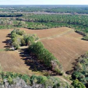 Photo of SOLD!!  257 Acres of Farm and Timber Land For Sale in Northampton County NC!