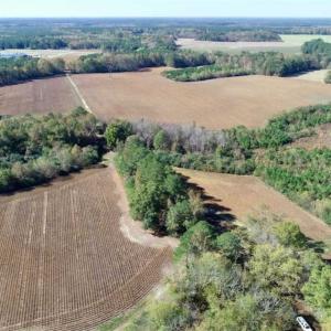 Photo of SOLD!!  257 Acres of Farm and Timber Land For Sale in Northampton County NC!