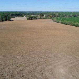 Photo of SOLD!!  257 Acres of Farm and Timber Land For Sale in Northampton County NC!