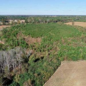 Photo of SOLD!!  257 Acres of Farm and Timber Land For Sale in Northampton County NC!