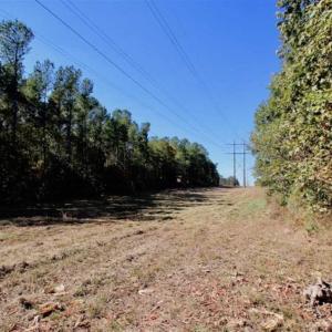 Photo of SOLD!!  257 Acres of Farm and Timber Land For Sale in Northampton County NC!