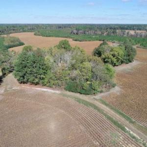 Photo of SOLD!!  257 Acres of Farm and Timber Land For Sale in Northampton County NC!