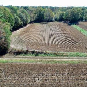 Photo of SOLD!!  257 Acres of Farm and Timber Land For Sale in Northampton County NC!