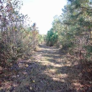 Photo of SOLD!!  257 Acres of Farm and Timber Land For Sale in Northampton County NC!