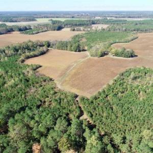 Photo of SOLD!!  257 Acres of Farm and Timber Land For Sale in Northampton County NC!