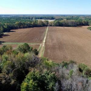 Photo of SOLD!!  257 Acres of Farm and Timber Land For Sale in Northampton County NC!