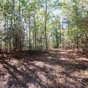 Photo of SOLD!!  257 Acres of Farm and Timber Land For Sale in Northampton County NC!