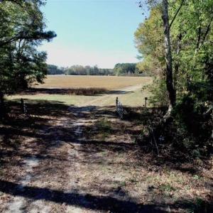 Photo of SOLD!!  257 Acres of Farm and Timber Land For Sale in Northampton County NC!
