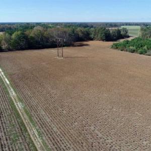 Photo of SOLD!!  257 Acres of Farm and Timber Land For Sale in Northampton County NC!