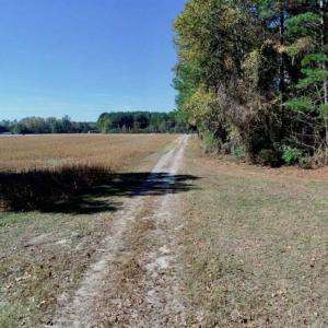 Photo of SOLD!!  257 Acres of Farm and Timber Land For Sale in Northampton County NC!