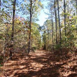 Photo of SOLD!!  257 Acres of Farm and Timber Land For Sale in Northampton County NC!