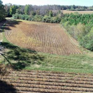 Photo of SOLD!!  257 Acres of Farm and Timber Land For Sale in Northampton County NC!