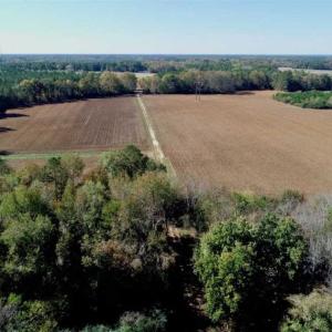 Photo of SOLD!!  257 Acres of Farm and Timber Land For Sale in Northampton County NC!