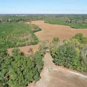 Photo of SOLD!!  257 Acres of Farm and Timber Land For Sale in Northampton County NC!