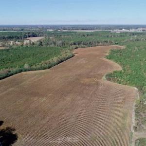 Photo of SOLD!!  257 Acres of Farm and Timber Land For Sale in Northampton County NC!