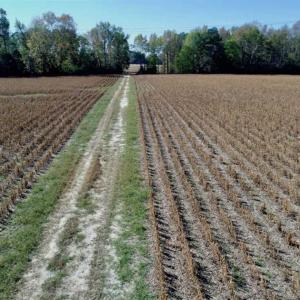Photo of SOLD!!  257 Acres of Farm and Timber Land For Sale in Northampton County NC!