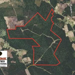 Photo of SOLD!!  365 Acres of Timber and Hunting Land For Sale in Columbus County NC!