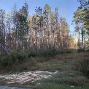 Photo of SOLD!!  19.26 Acres of Hunting Land For Sale in Robeson County NC!