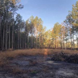 Photo of SOLD!!  19.26 Acres of Hunting Land For Sale in Robeson County NC!