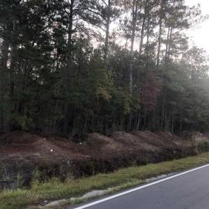 Photo of SOLD!!  19.26 Acres of Hunting Land For Sale in Robeson County NC!
