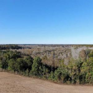 Photo of UNDER CONTRACT!!  350 Acres of Farm and Hunting Land For Sale in Columbus County NC!