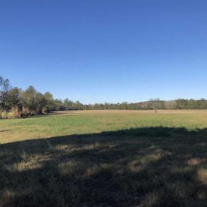 Photo of UNDER CONTRACT!!  350 Acres of Farm and Hunting Land For Sale in Columbus County NC!