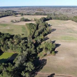 Photo of UNDER CONTRACT!!  350 Acres of Farm and Hunting Land For Sale in Columbus County NC!