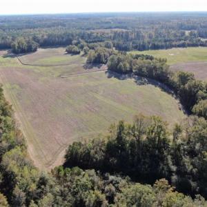 Photo of UNDER CONTRACT!!  350 Acres of Farm and Hunting Land For Sale in Columbus County NC!