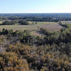 Photo of UNDER CONTRACT!!  350 Acres of Farm and Hunting Land For Sale in Columbus County NC!