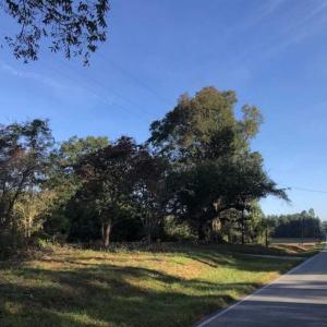 Photo of UNDER CONTRACT!!  350 Acres of Farm and Hunting Land For Sale in Columbus County NC!