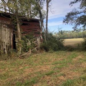 Photo of UNDER CONTRACT!!  350 Acres of Farm and Hunting Land For Sale in Columbus County NC!