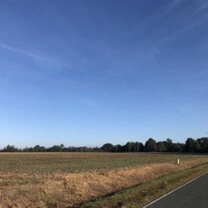Photo of UNDER CONTRACT!!  350 Acres of Farm and Hunting Land For Sale in Columbus County NC!